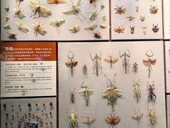 -天津自然博物馆