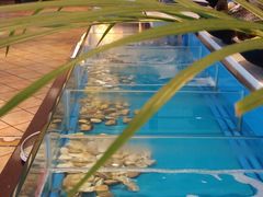 -火舞泰·泰式海鲜火锅餐厅(世纪城店)