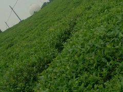 android_upload_pic-南京市江宁方山
