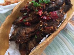 -椿记烧鹅(叠彩店)