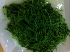 豆苗-海岛渔村大酒店(云霄路店)