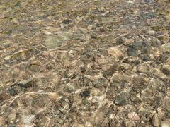 -白河湾山水缘民宿