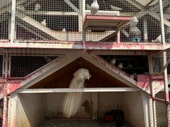 -J Create城市露营咖啡·简餐·宠物(上海动物园店)