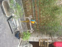 android_upload_pic-那家小馆•北京菜•烤鸭(中关村店)