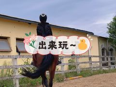 -北京群众马术培训基地
