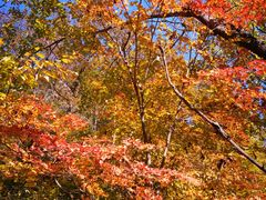 -丹东天桥沟景区