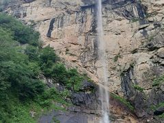 -青峰峡国家森林公园