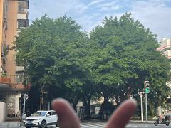 -四季缤纷椰子鸡(梅溪新天地店)