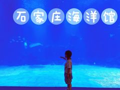-石家庄海洋公园