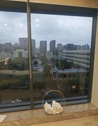 -智美品质医美