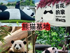 -成都大熊猫繁育研究基地