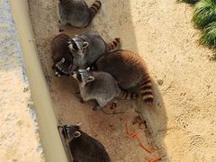 -达蓬山旅游度假区