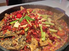 -老板恋上鱼(高新万达店)