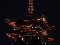 -南宋御街