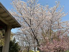 -上海东方佘山翰悦阁酒店·Vie全日制餐厅