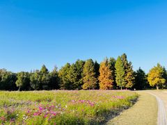 -同里国家湿地公园