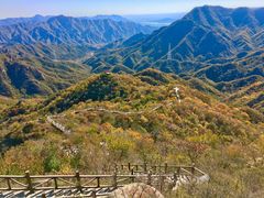 -大岭沟猕猴桃谷风景区