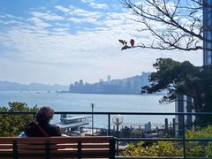 -讯号山花园