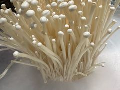 -半闲斋羊肉铺(齐礼阎店)