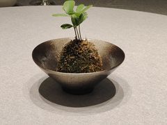 -龙宴海鲜城(经中路店)