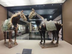 -西安大唐西市博物馆