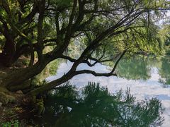 -贵阳市花溪国家城市湿地公园