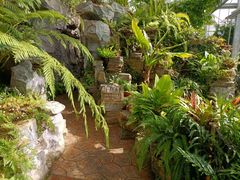 -国家植物园南园