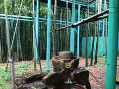 -陶祖圣境风景区