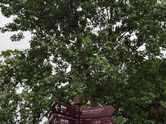 -洋湖国家湿地公园