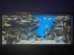 -福州罗源湾海洋世界旅游区