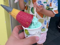 -柠檬车露(卖草地店)