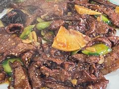 -独流饭店(静海区国土资源分局西)