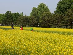 -北坞公园