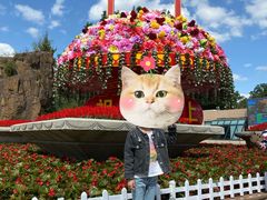 -上海市龙华烈士陵园