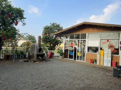 -长洲岛都市农业公园