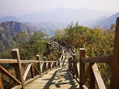 -大岭沟猕猴桃谷风景区