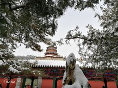 -颐和园