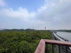 -东寨港红树林旅游区