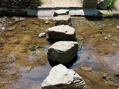 -白水寺森林公园