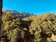 -洛阳白云山景区