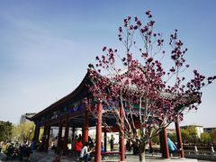 -西海子公园