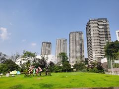 -重庆国际马戏城