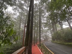 -莫干山风景区