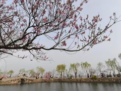-无锡蠡湖国家湿地公园-蠡园