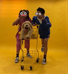 点击看大图 -布恩儿童摄影