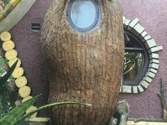 -疯狂屋