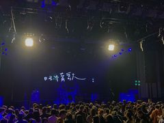 -瓦肆 VAS ear(普陀沪西店)