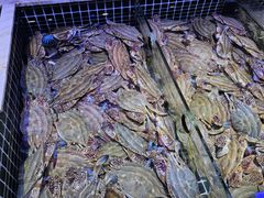 -开海·红岛海鲜虾水饺(石老人店)