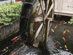 -顺德了能馆(虎门店)