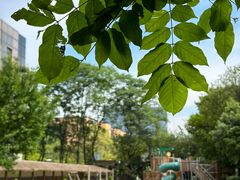 -硅谷蒙学幼儿园